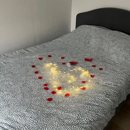 Verdun Superbe Proche Du Chu 아파트 *